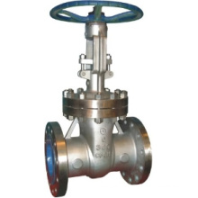 Stainless Steel Gate Valve Mr 0175